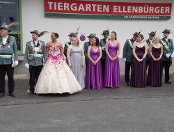 sf sonntag 2025005